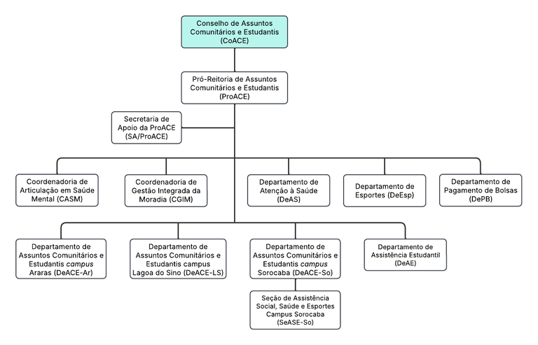 OrganogramaProACE20-05-2025.png